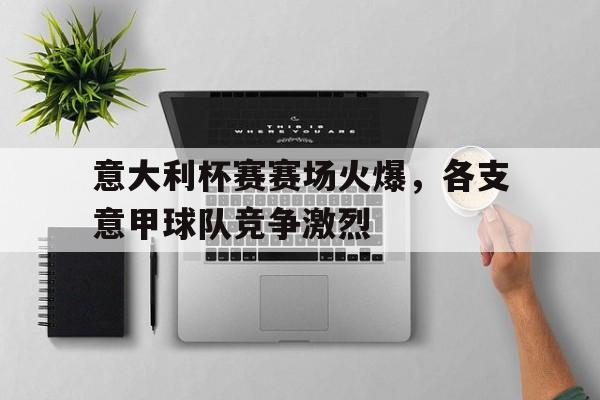意大利杯赛赛场火爆，各支意甲球队竞争激烈的简单介绍